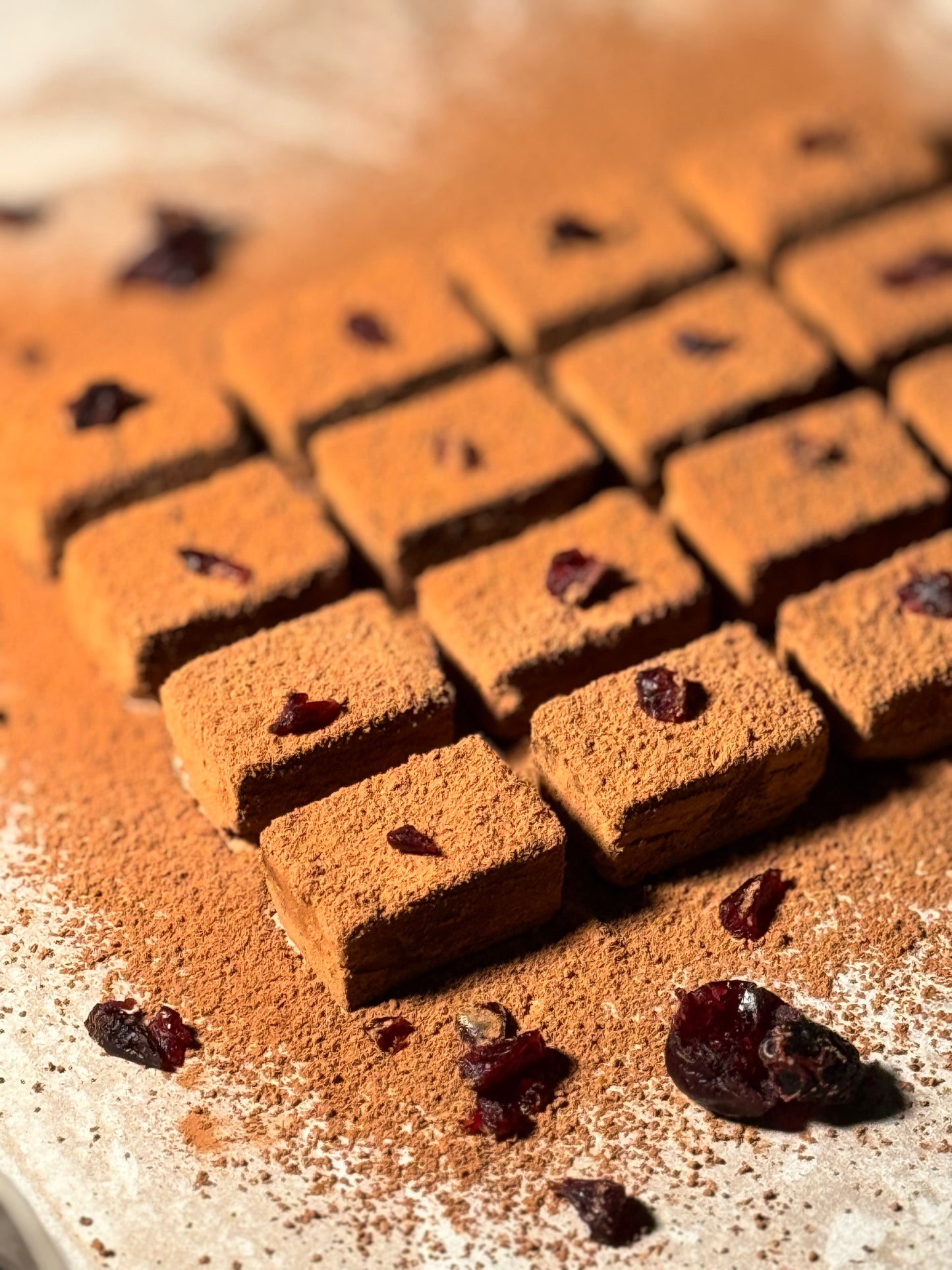 Cranberry Dark Chocolate