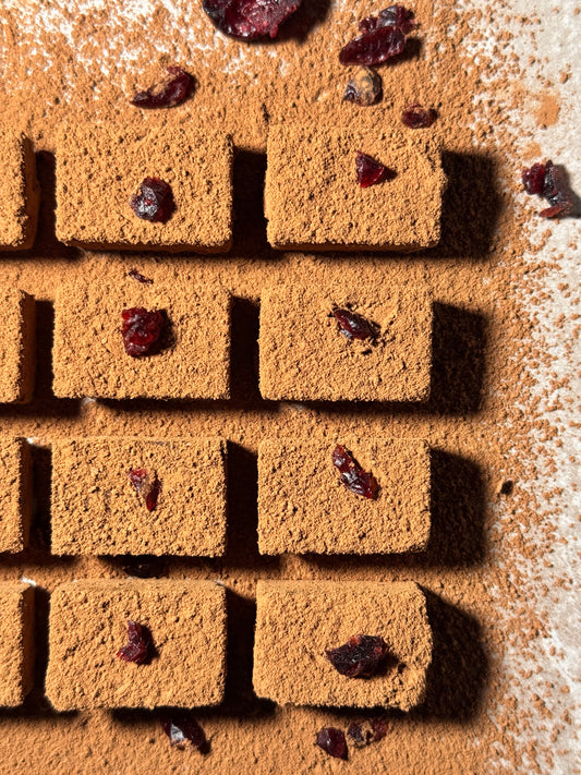 Cranberry Dark Chocolate